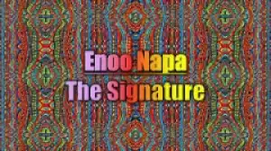 Enoo Napa - The Surge